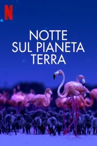 Notte sul pianeta Terra