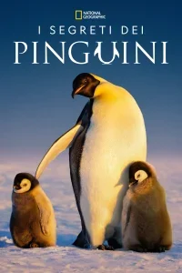 I segreti dei pinguini