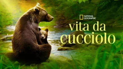 Vita da cucciolo